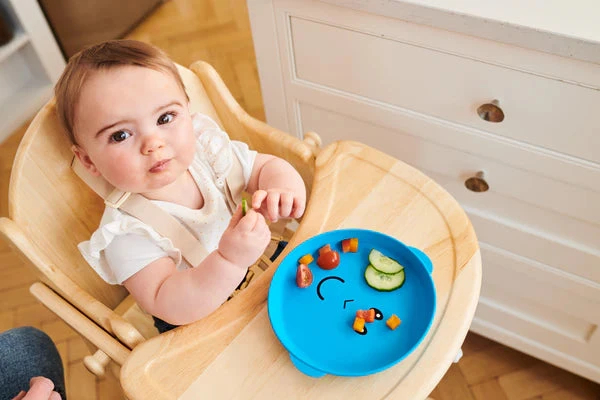 Matchstick Monkey Blue Monkey Plate & Bowl 4 Matchstick Monkey Blue Monkey Plate & Bowl - Image 4