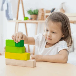 Plan Toys Ordering Blocks - PT 5370