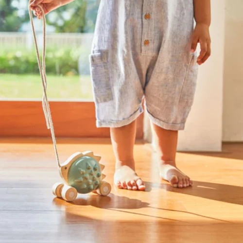 Plan Toys Pull Along Hedgehog Blue 2 Plan Toys Pull Along Hedgehog Blue - Image 2