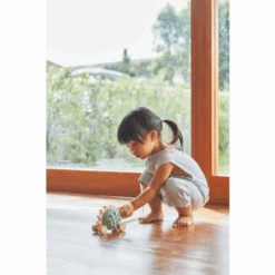 Plan Toys Pull Along Hedgehog Blue 7 Plan Toys Pull Along Hedgehog Blue -Stokke Store 3 13e9de73 a3e6 4f95 92eb 164a0dcb4b3f