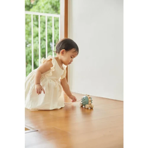 Plan Toys Pull Along Hedgehog Blue 4 Plan Toys Pull Along Hedgehog Blue - Image 4